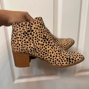 Ankle Booties (Animal Dot Print)